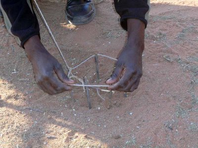 A BUSHMAN TRAP