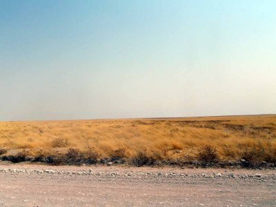 LANDSCAPE AT ETHOSHA