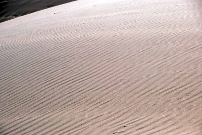 SIGNS OF THE WIND AT THE DUNE