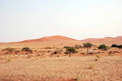 AT THE SOSSUSVLEI