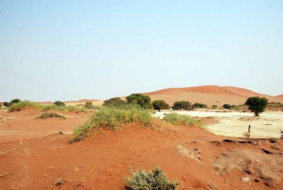 AT THE SOSSUSVLEI