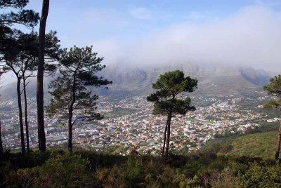 VIEW FROM SIGNAL HILL TO TABLE MOUNTAIN