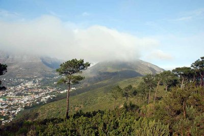 VIEW FROM SIGNAL HILL TO TABLE MOUNTAIN