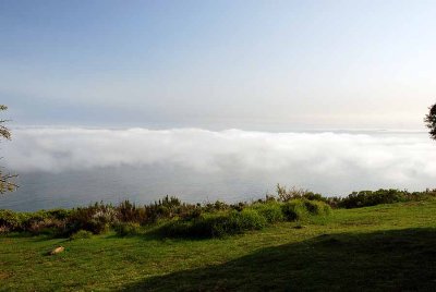 10 27 08_Kirstenbosch_1205.jpg