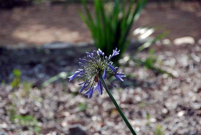 g1/60/816160/3/128265711.j7GkR14L.jpg