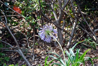 g1/60/816160/3/128265712.a6JEB2Uz.jpg