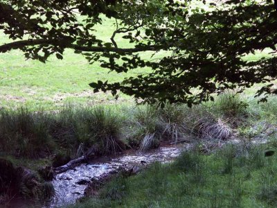 A small whisteling water on the way