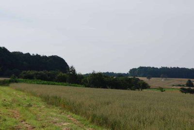 At the hill between Woerth and Luetzelbach