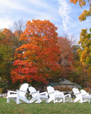 Lake Geneva Chairs and autum colors