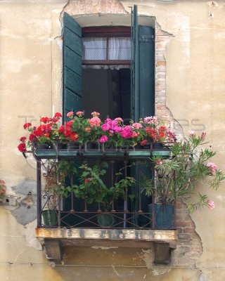 Venice Window scene