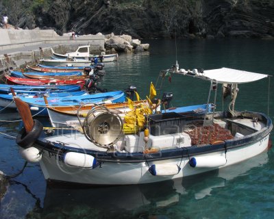 Cinque Terra Harbor