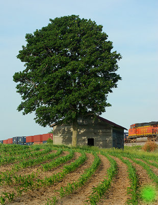 g1/60/830360/3/113504666.0KiTJe8E.jpg