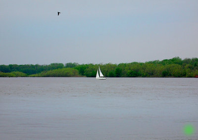 IMGP2483.jpg