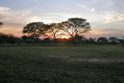 Murchison falls NP