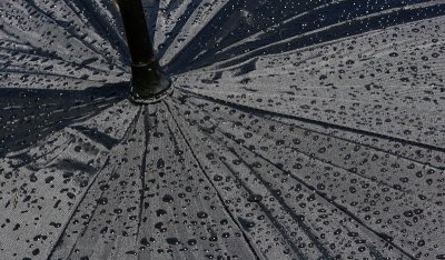 Umbrella - Rainy Days!