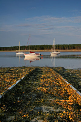 Findhorn Bay