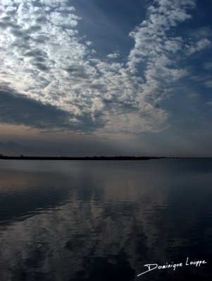 g1/60/842960/3/125492528.MaUDqjL6.jpg