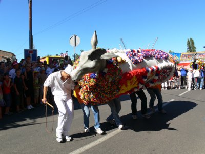 Bessan La danse de lana 428.jpg