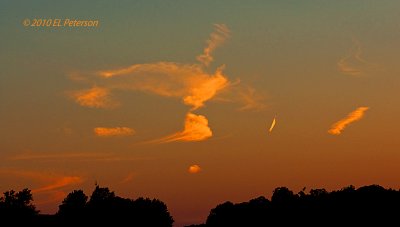_DSC1598.jpg