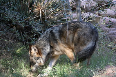 DBW07402.JPG