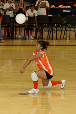 DBW15139.JPG