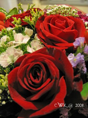 IMG_0962.jpg