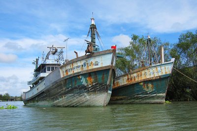 IMG_3338.jpg