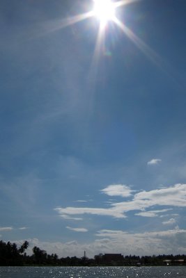 IMG_3343.jpg