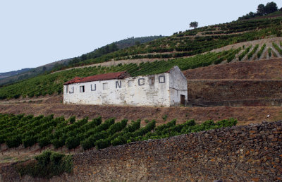 The Douro