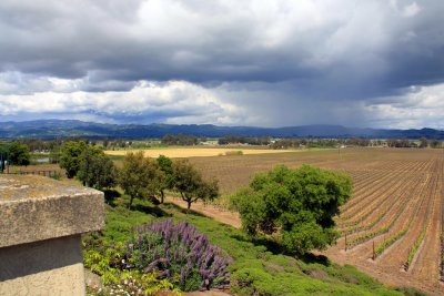 View from the Gloria Ferrer Winery_Sonoma.jpg