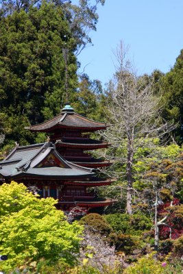 Chinese Pagoda_Golden Gate Park_San Fran.jpg