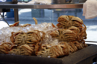 San Fran Dungeness Crab.jpg