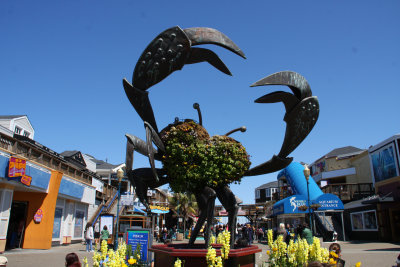 Fishermans Wharf_Pier 39_San Fran.jpg