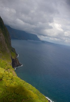 Cliffs of Molokai