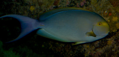 g1/60/882460/3/128281139.o4D4mKrx.jpg