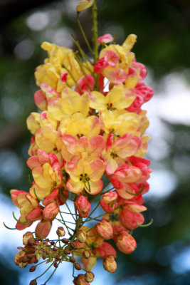 g1/60/882460/3/128342975.uotnaiaB.jpg