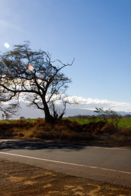 g1/60/882460/3/128670468.j0fTtLSZ.jpg