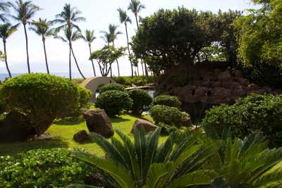 The Hyatt_Kaanapali