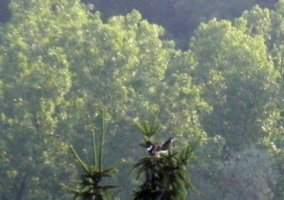CIMG0265.jpg