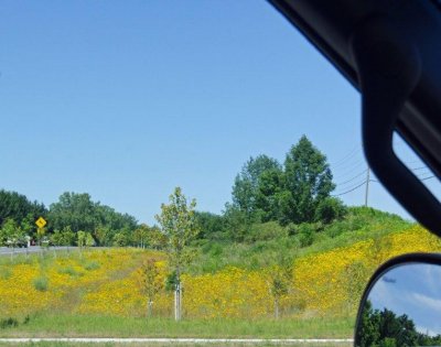 CIMG0322.jpg