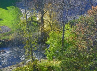 moms_photos_102710