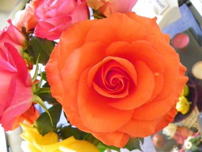 moms_photos_111110