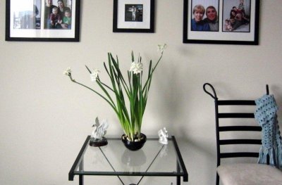 moms_photos_012611