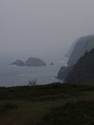 IMG_6492UP.JPG