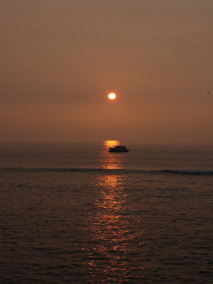 IMG_6629UP.JPG