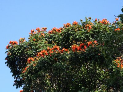 IMG_6706UP.JPG