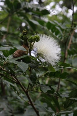 IMG_7283SZ.JPG