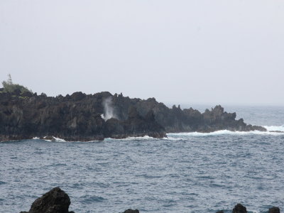 IMG_7320UP.JPG
