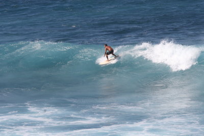 IMG_7459SZ.JPG