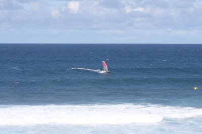 IMG_7526SZ.JPG